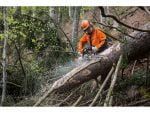 STIHL MS 462 C