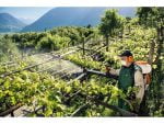 STIHL SR 200 D